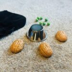 Professional School for Scoundrels Street Shells